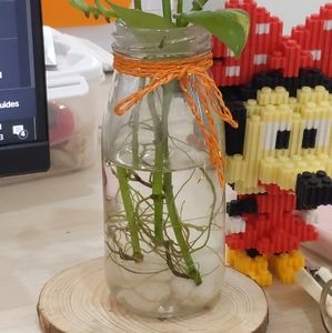 Glass flower vase to decorate the desk